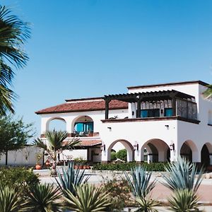 Orchid House Baja
